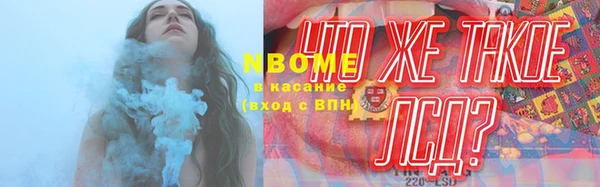 ПСИЛОЦИБИНОВЫЕ ГРИБЫ Арсеньев