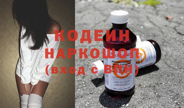 ПСИЛОЦИБИНОВЫЕ ГРИБЫ Арсеньев