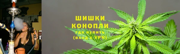 ПСИЛОЦИБИНОВЫЕ ГРИБЫ Арсеньев