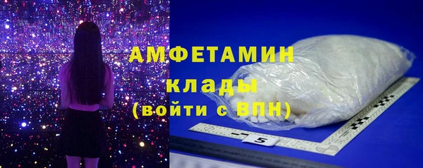 прущие грибы Аркадак
