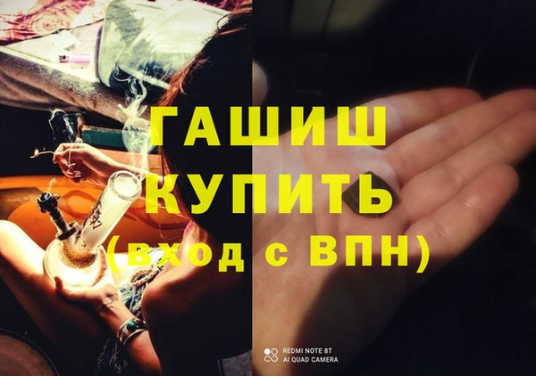 прущие грибы Аркадак