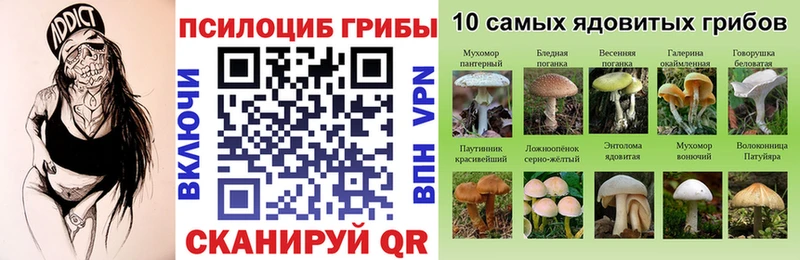 Галлюциногенные грибы мицелий  Купить где  Тында 